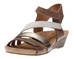 Hollywood 4-Strap Brown Sandal -Women Boot Store COBHOLLYWOOD407